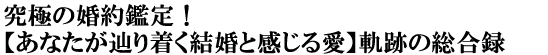 ɂ̍ӒIyȂH蒅Ɗ鈤zOՂ̑^