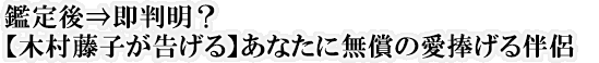 ӒˑHyؑqzȂɖ̈锺