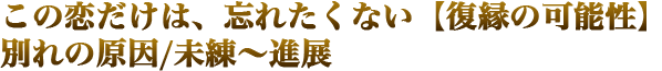 この恋だけは、忘れたくない【復縁の可能性】別れの原因/未練～進展