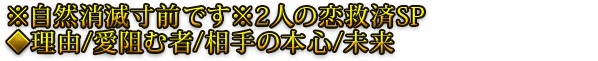 ※自然消滅寸前です※2人の恋救済SP◆理由/愛阻む者/相手の本心/未来